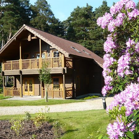 The Dorset Resort East Stoke  Екстер'єр фото